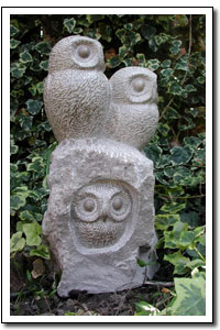 Little owls